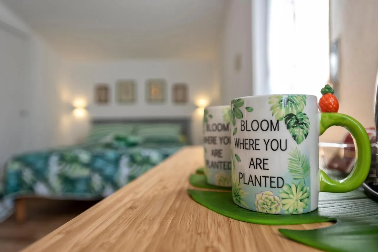 Dery Alghero Holiday Rooms 0*,